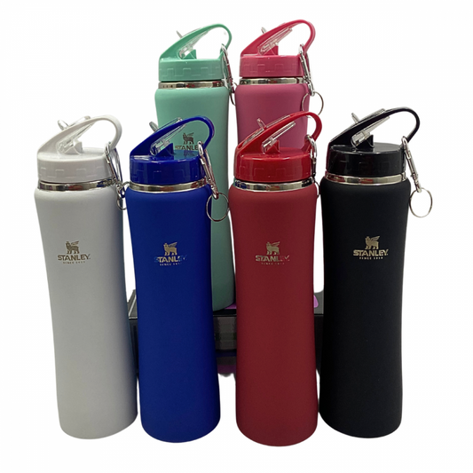 Garrafa Squeeze Aço Inox Academia com Canudo 600 ml Logo Stan.